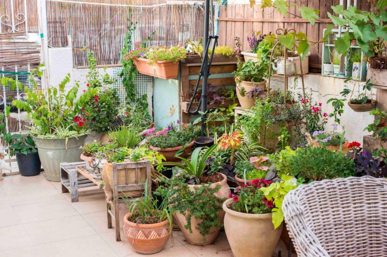 Michal 'Place Tel Aviv Luaran gambar